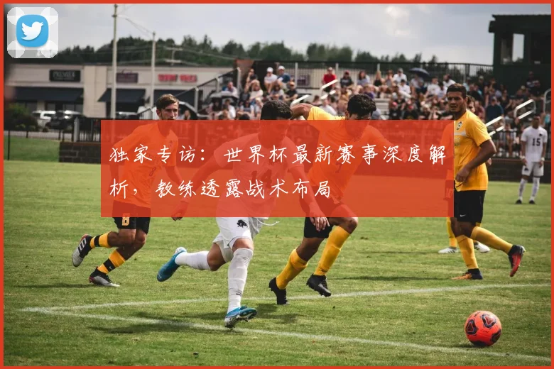 独家专访:世界杯最新赛事深度解析,教练透露战术布局
