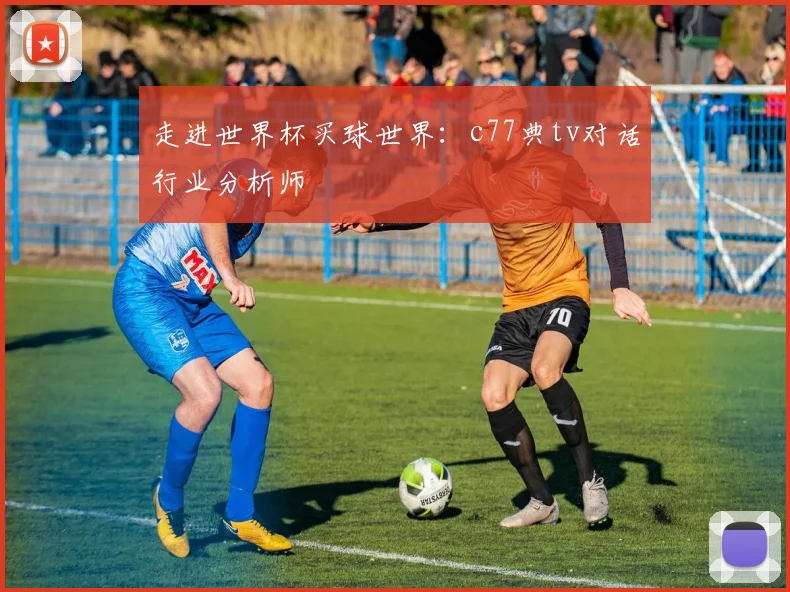 走进世界杯买球世界：c77典tv对话行业分析师