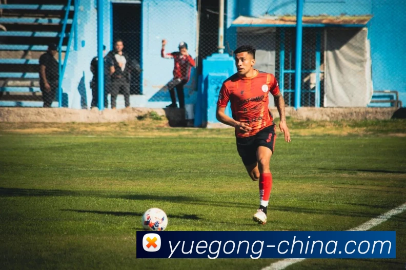 米兰在线登录入口网址平台生态图